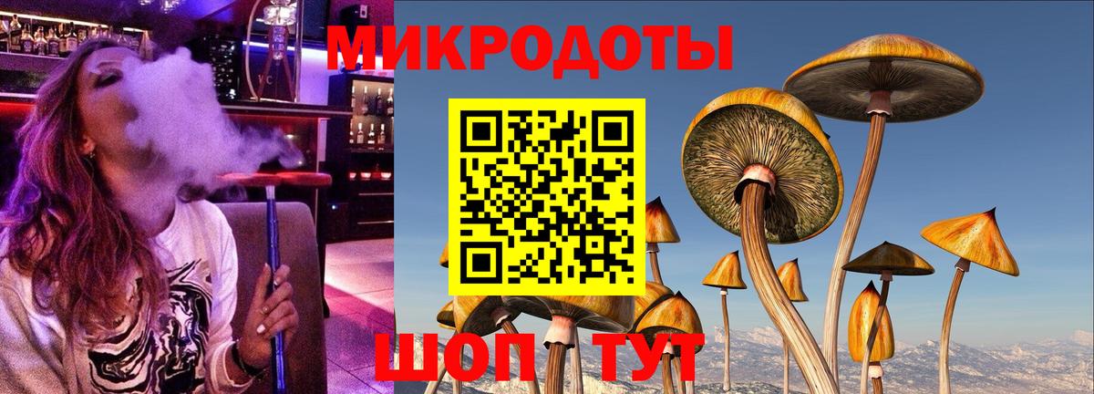 Галлюциногенные грибы Cubensis Салехард