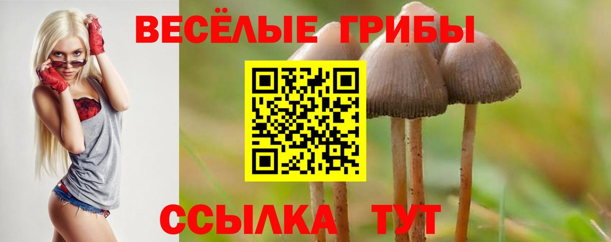 Псилоцибиновые грибы Psilocybine cubensis  Галлюциногенные грибы ЛСД  Салехард  Вход с VPN 