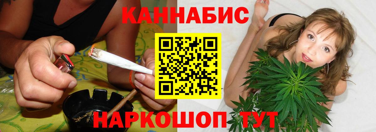 Шишки марихуана планчик Салехард